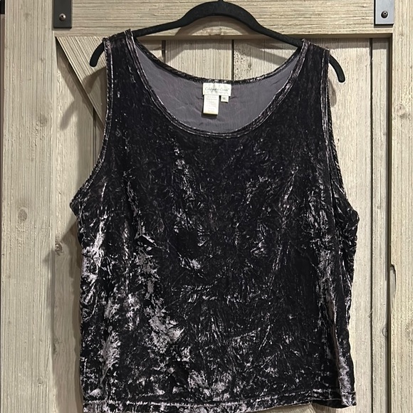 Coldwater Creek Tops - Coldwater Creek Velvet Tank Top in A Gunmetal Color